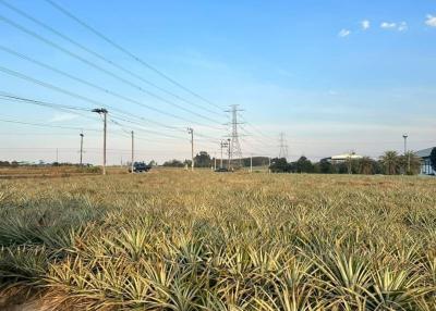 Open land with power lines and clear skies