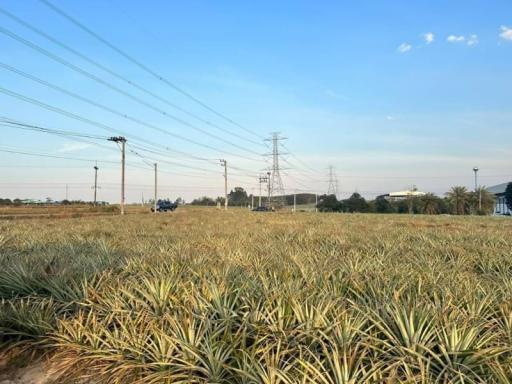 Open land with power lines and clear skies