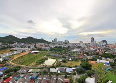 Panoramic view of a vibrant city from a high vantage point with diverse buildings and nature