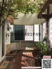 Cozy covered patio with natural lighting and green plants