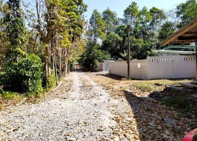 Gravel driveway leading to a property with surrounding greenery