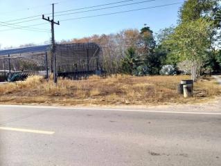 Vacant land with dry grass and roadside view