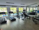 Modern home gym with various exercise equipment