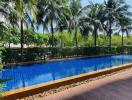 Outdoor swimming pool surrounded by palm trees and lounging area in a residential property