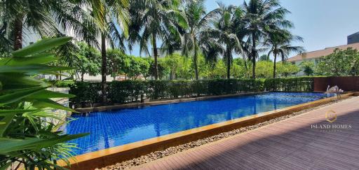 Outdoor swimming pool surrounded by palm trees and lounging area in a residential property