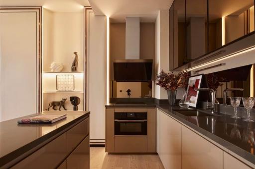 Modern kitchen with integrated appliances and elegant design