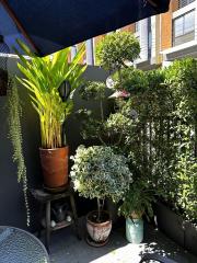 Cozy balcony with potted plants and greenery