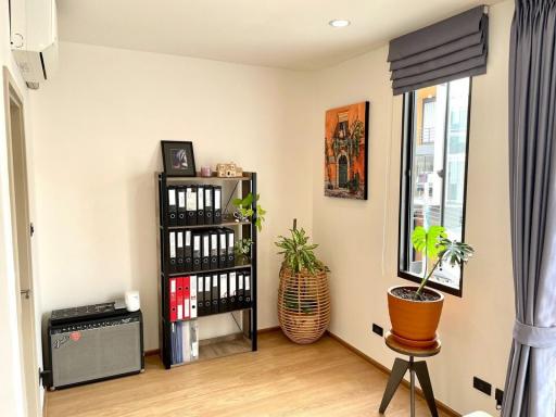 Cozy and well-lit living room corner with decorative items