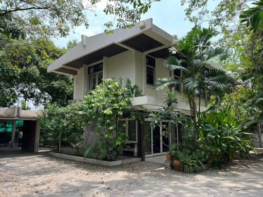 Modern two-story house surrounded by lush greenery with a clear sky