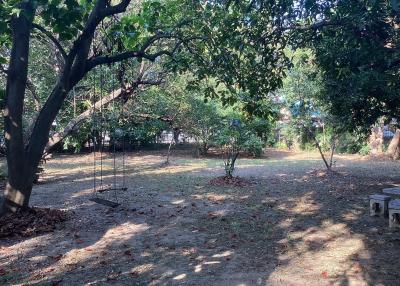 Spacious garden with trees and a swing