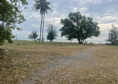 Coastal land with pathway leading to the sea, surrounded by trees