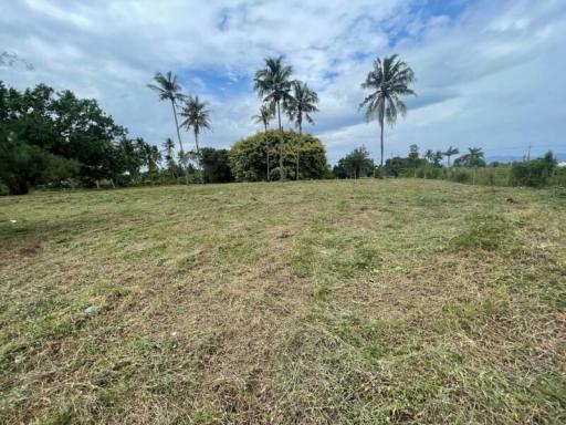 Spacious land plot with green grass and palm trees under a clear sky