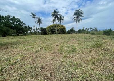 Spacious land plot with green grass and palm trees under a clear sky