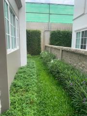Well-maintained narrow garden beside a residential building