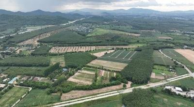 Aerial view of agricultural land with surrounding greenery