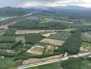 Aerial view of agricultural land with surrounding greenery