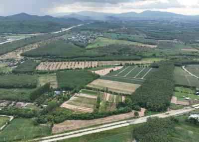 Aerial view of agricultural land with surrounding greenery