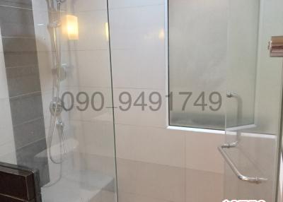 Modern bathroom interior with glass shower and tiled walls