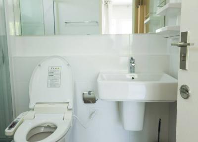 Modern white bathroom interior with toilet and sink