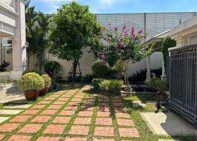 Well-manicured backyard garden with greenery and walkway