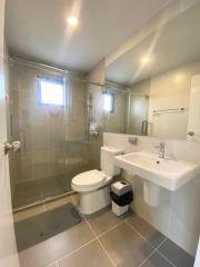 Spacious bathroom with walk-in shower, toilet and sink