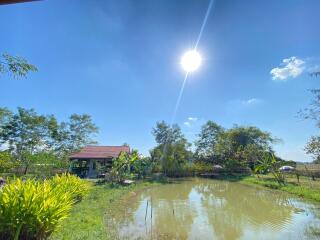 Lovely countryside 4 bedroom for sale in Doi Saket