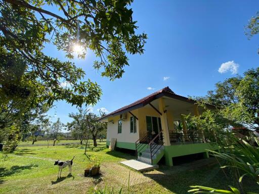 Lovely countryside 4 bedroom for sale in Doi Saket