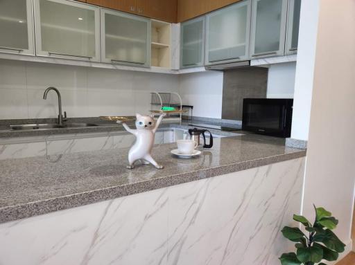 Modern kitchen with granite countertops and built-in appliances