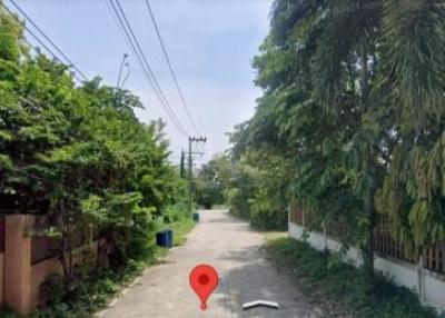 Street view with lush greenery outside the property