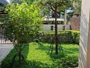 Spacious backyard with lush greenery and wooden decking