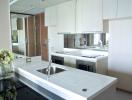 Modern kitchen with white cabinetry and built-in appliances