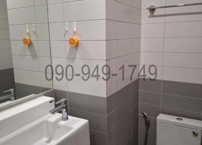 Modern bathroom interior with white sink and toilet