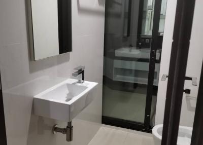 Modern bathroom with walk-in shower and sleek sink