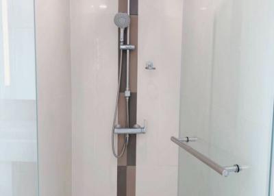 Modern walk-in shower with stainless steel fixtures and glass door