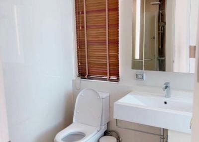 Modern bathroom with white fixtures, including toilet and sink