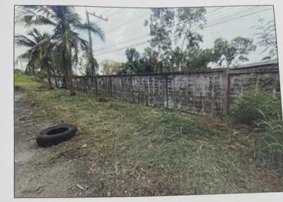 Overgrown vacant lot with a perimeter wall and scattered debris