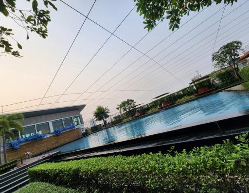 Spacious outdoor swimming pool with surrounding greenery and lounging chairs