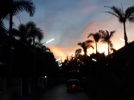 Twilight skyline view from a residential driveway with palm trees