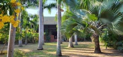 Spacious garden with palm trees in front of a house