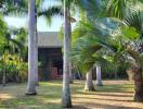 Spacious garden with palm trees in front of a house