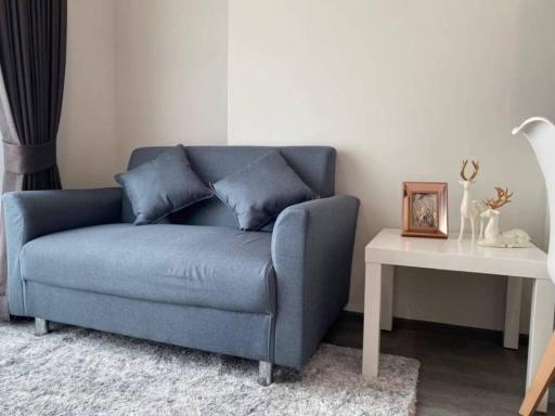 Modern living room with comfortable sofa and elegant decor