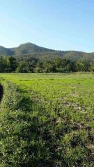 Land for Sale in Chiang Mai - 5 Rai Plot Near Mae Klang Water 10M THB