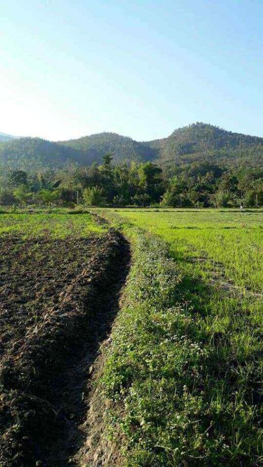 Land for Sale in Chiang Mai - 5 Rai Plot Near Mae Klang Water 10M THB