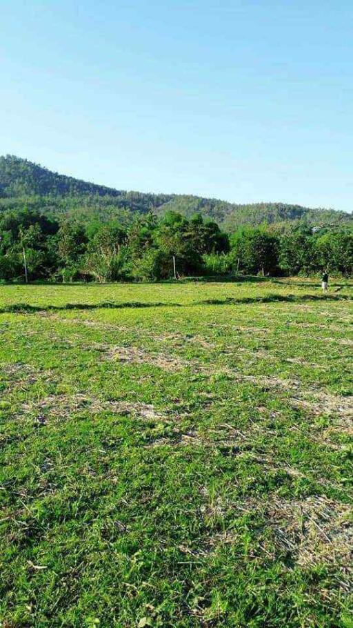 Land for Sale in Chiang Mai - 5 Rai Plot Near Mae Klang Water 10M THB