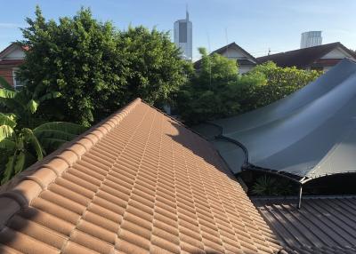 Roofline and skyline view from the property showing nearby structures and vegetation