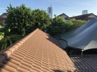 Roofline and skyline view from the property showing nearby structures and vegetation