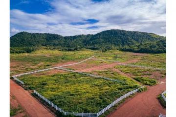 ขายที่ดินจัดสรร จังหวัด เพชรบุรี