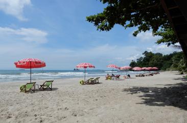 Sunny beachfront with red umbrellas and wooden sun loungers