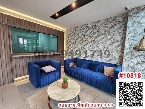 Modern living room interior with blue sofa and stylish decor