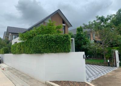 Residential house exterior with a white boundary wall and hedge